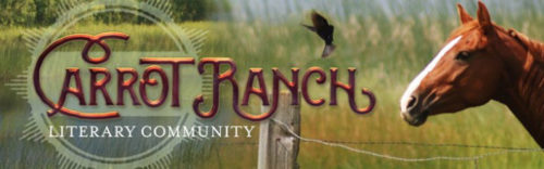 Carrot Ranch finalist