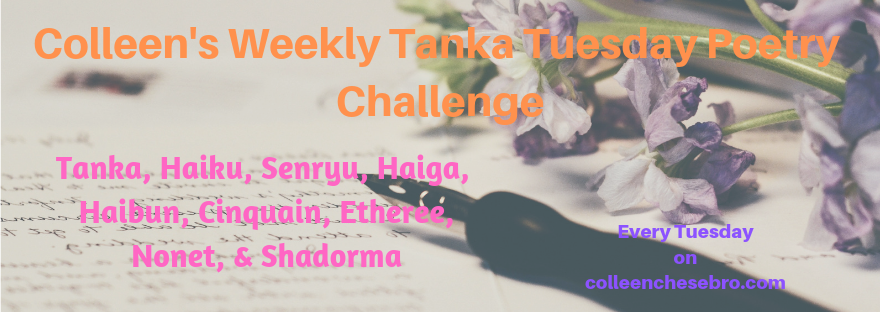 Colleen's Weekly Poetry Challenge