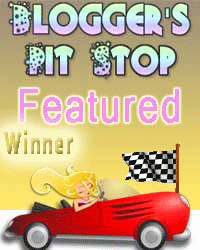 Blogger's Pit Stop feature winner